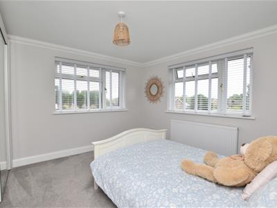 Picture 14